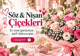 S�Z & N��AN